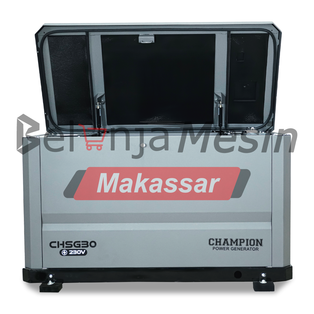Genset Home Standby 25 KVA Bahan Bakar LPG 1 Phase CHSG30+ATS Champion - Image 4