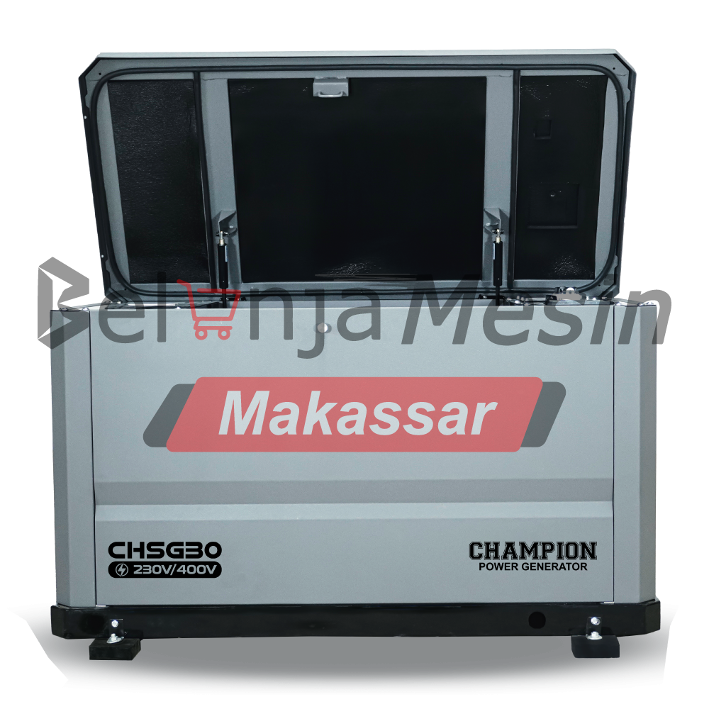 Genset Home Standby 25 KVA Bahan Bakar LPG 3 Phase CHSG30+ATS Champion - Image 2